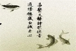 梦见在机场赶飞机
